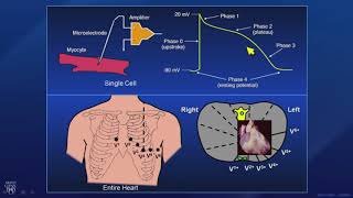 CME Preview Current Applications and Future of Artificial Intelligence in Cardiology 2019 [upl. by Ace]