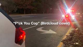 The Sparkly Draculas  “Fck You Cop” Birdcloud cover [upl. by Damali708]