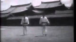 Historic TaekwonDo Instructional Film Full video [upl. by Isdnyl]