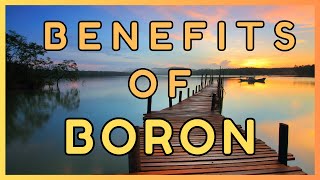 Boron Benefits  Supplement may cut your risk for over a dozen diseases in half [upl. by Aicilehp]