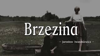 Brzezina 1988  Jarosław Iwaszkiewicz [upl. by Linzy642]