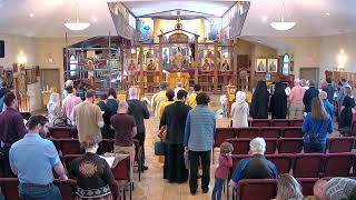 Divine Liturgy St Herman Orthodox Church Sunday October 13 2024 [upl. by Derayne]