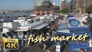 Hamburg Fischmarkt  Germany 4K Travel Channel [upl. by Airetas]