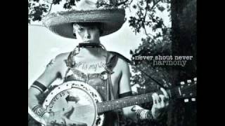 Never Shout Never  Sellout Album Version [upl. by Esorlatsyrc]