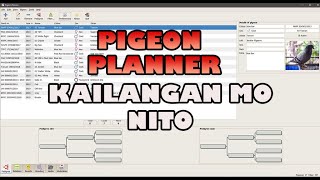 Pigeon Planner para madaling itrack ang race results at breeding ng ating kalapati [upl. by Fransis]