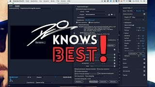 PREMIERE PRO 🎬 FLACKERN NACH RENDERN 👾  EXPORTIEREN BEHEBEN ❗ DeOknowsBEST 🤓 [upl. by Nole]