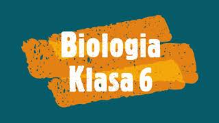 Cechy stawonogówPrzygotuj SIę Biologia Klasa 6 [upl. by Kcirad]