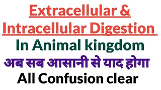 Extracellular amp Intracellular Digestion Or Both types of Digestion in Animal kingdom [upl. by Akinwahs]