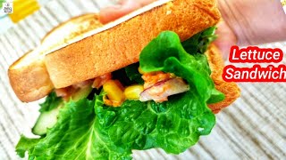 How to make Lettuce Sandwich । Sandwich । Easy No Oil Veg Sandwich by NeetusCookingRecipes [upl. by Inalak964]