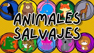 ANIMALES SALVAJES  ¿QUÉ SON  EJEMPLOS [upl. by Aimac]