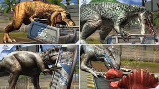 DIPLOCERASPIS VS METOPOSAURUS  JURASSIC WORLD THE GAME [upl. by Procto]