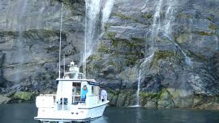 Greenland Icebergs and Waterfalls near Nuuk [upl. by Kcirrem]