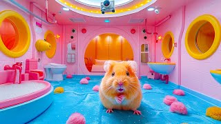 🐹 Hamster Escapes the Super Prison Maze for Pets in Real Life 🐹 Hamster Maze [upl. by Lunetta]