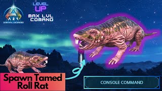 Tamed Roll Rat Spawn Command  Ark Survival Ascended [upl. by Ro97]