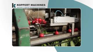 20140327 koppertmachines bunching machine [upl. by Ariaj]