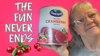 Turning Jellied Cranberry Sauce into Delicious Dehydrated Snacks [upl. by Carbo]