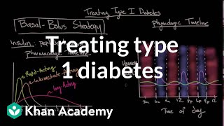 Treating type I diabetes  Endocrine system diseases  NCLEXRN  Khan Academy [upl. by Zonnya]