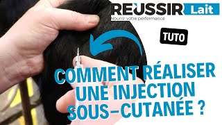 TUTO Comment réaliser une injection souscutanée [upl. by Alimac]