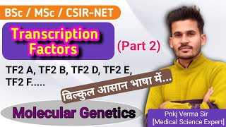 Transcription Factors in Eukaryotes  Part 2  हिंदी में [upl. by Hedaza294]