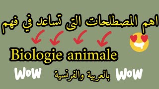 مصطلحات تساعدك في فهم بيولوجي انيمال Biologie animale L1 s2snv [upl. by Dosh]