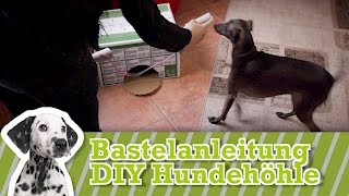 DIY Hundespielzeug selber machen  Hundespielzeug selber bauen [upl. by Amlas]