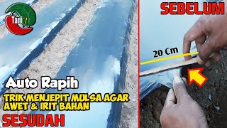 Skil di Atas Ratarata Trik Menjepit Plastik Mulsa Agar Rapih dan Irit Bahan  Tani 7 [upl. by Sirap695]