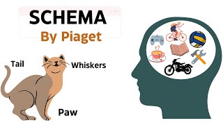 Piaget  Schema in 2 minutes  Constructs and Critical Perspectives [upl. by Hagen675]