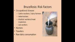 BRUCELLOSIS  ETIOLOGY  CLINICAL MANIFESTATIONS  DIAGNOSIS  MANAGEMENT [upl. by Anilorac]