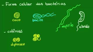 Formas da célula bacteriana  Diversidade dos Seres Vivos  Biologia [upl. by Anyrtak]