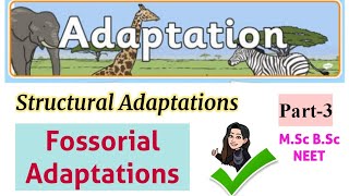 Structural adaptations Fossorial adaptations part3types of adaptationsMSc BSc zoology student [upl. by Lytsyrk]