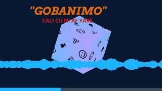 quotGOBANIMOquot Cali Cilmi Afyare [upl. by Tebasile]