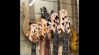 Fodera basses at Thomann [upl. by Willyt]