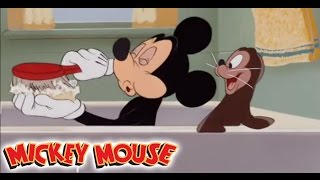 Micky Maus Kicherkracher  Kurzfilm Micky und der Seehund  Disney Channel [upl. by Mcmurry]