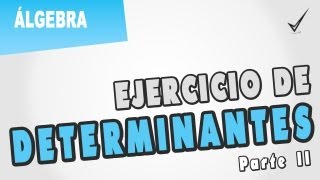 Ejercicio de determinantes  Parte II [upl. by Aihsikal612]