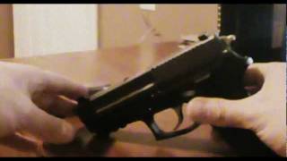 Customized SIG Sauer SP2022 [upl. by Marley224]