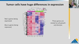 BIOL201 Ch167  Cancer and Gene Regulation [upl. by Edwin]