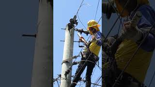 Buhay Lineman connecting conductor line electric electrical lineman electrician [upl. by Setarcos]