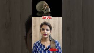 Complete Guide to Skull Anatomy Cranium Facial Bones Ear Bones amp Hyoid Explained [upl. by Valdes]