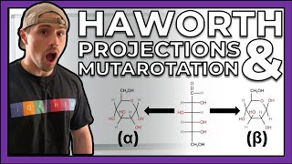 Haworth Projections amp Mutarotation with Examples [upl. by Juetta599]