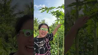 😎 Glasses made of funny candy shells candy shortvideo comedy survival food 😅🥬🥬🥬 [upl. by Herc]