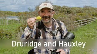 Out and About at Druridge Bay  A History and Wildlife Walk  Northumberland [upl. by My]