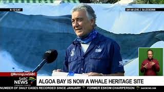 Algoa Bay announced as whale heritage site at the 4th annual Welcoming the Whales Festival [upl. by Tirrag]