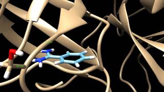 Binding mode of benzamidine in the trypsin enzyme [upl. by Ecinna189]