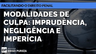 Modalidades de Culpa IMPRUDÊNCIA NEGLIGÊNCIA e IMPERÍCIA art 18 II do Código Penal [upl. by Darlene48]