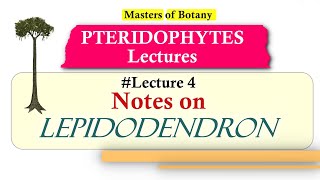 Lecture 4  Lepidodendron Fossil Life Cycle  Pteridophyta Lecture Notes [upl. by Amrak]