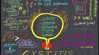 Cystitis Review in 4 minutes All you need to know [upl. by Atener]