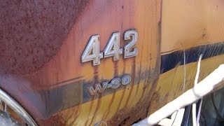 Muscle Car Junkyard Part 15 Oldsmobile 442 W30 and more [upl. by Alrzc]