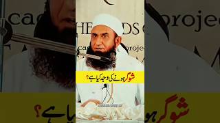 ShugarHoneKiVajahKiyaHai molana tariq jameel sahab Muzammil Hayat DW [upl. by Neelhtac]