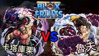 Blox fruit 橡膠果實 激戰 糯糯覺醒  冷門果實與強勢果實的比拚 bloxfruits roblox 果然要對決 [upl. by Macdonell208]