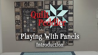 Playing With Panels Introduction  Quilt Peddler  Fennimore WI [upl. by Fabriane]